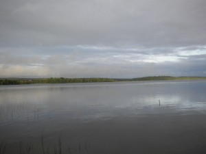 DSCN4546
