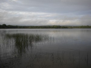 DSCN4548