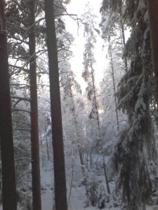 Valokuva0017