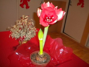DSCN4816