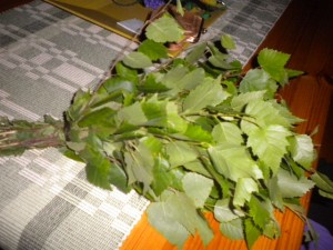 DSCN5377