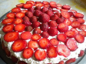 DSCN5379