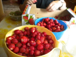 DSCN5381