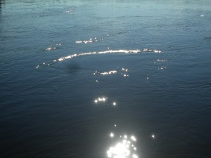DSCN5391-001