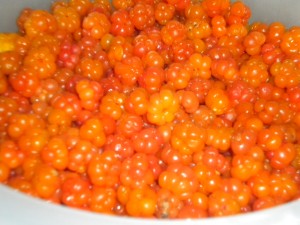 DSCN5401